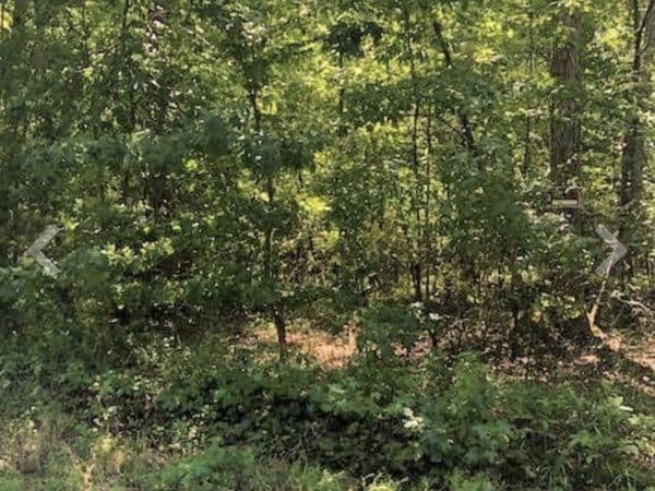 0 Sunset Drive, Manchester, TN 37355