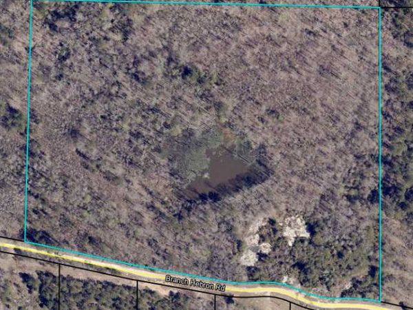 0 Branch Hebron Road, Greenville, GA 30222