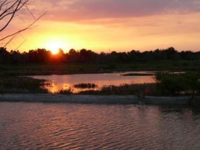 3118 Verdmont Lane, Wellington, FL 33414 Photo