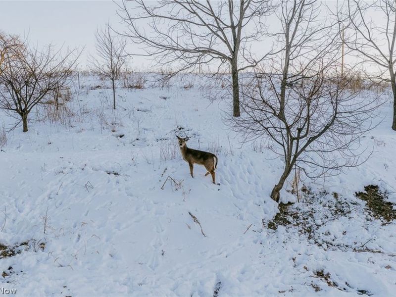 31705 Norris Road, Tippecanoe, OH 44699 Photo 15