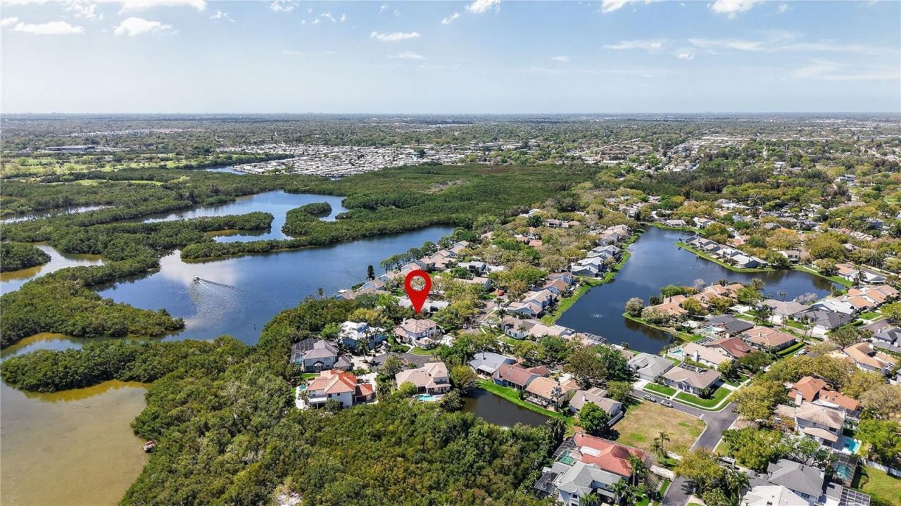 1100 Tortuga Circle Ne, Saint Petersburg, FL 33702 Photo