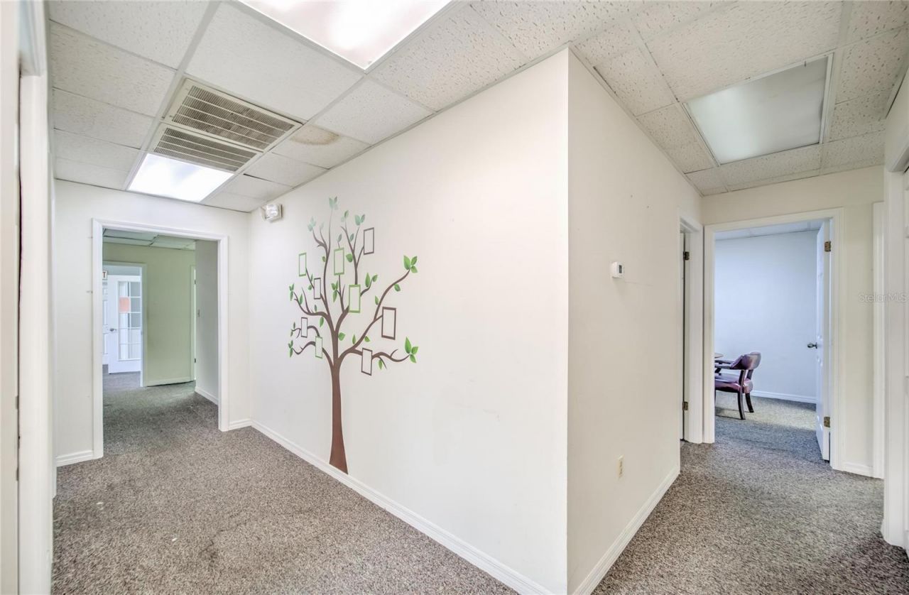 504 E Baker Street , Plant City, FL 33563 Photo