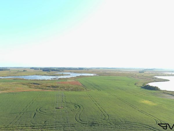 TBD County Road 1 , Hankinson, ND 58041