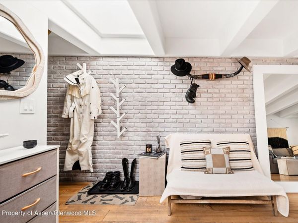 901 E Hyman Avenue, Unit 11, Aspen, CO 81611