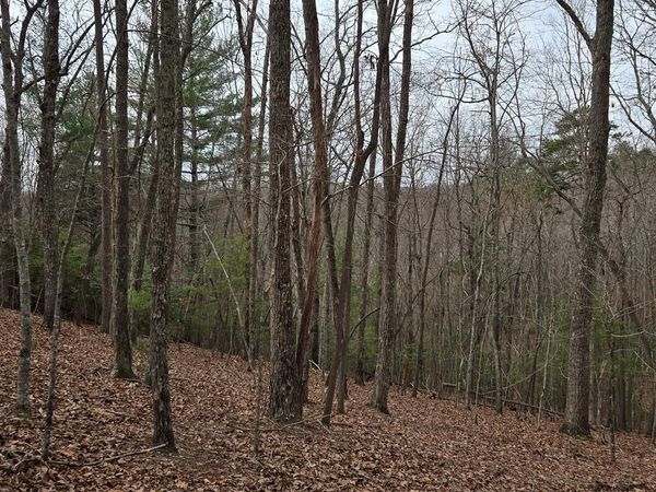 8.5 Blue Berry Ridge, Morganton, GA 30560