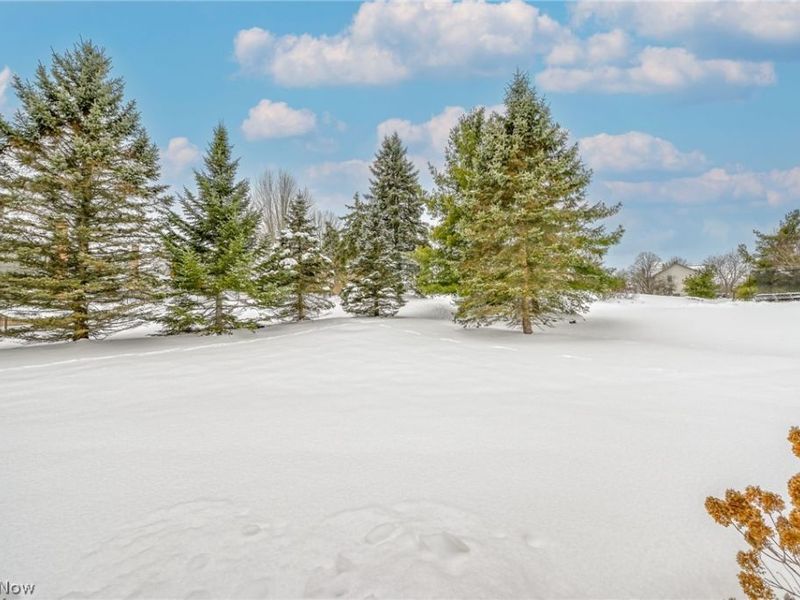 3912 Raintree Circle, Uniontown, OH 44685 Photo 42