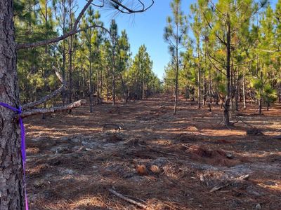 Ppf 14 Payne Pond Road, Unit Ppf 14, Westville, SC 29175