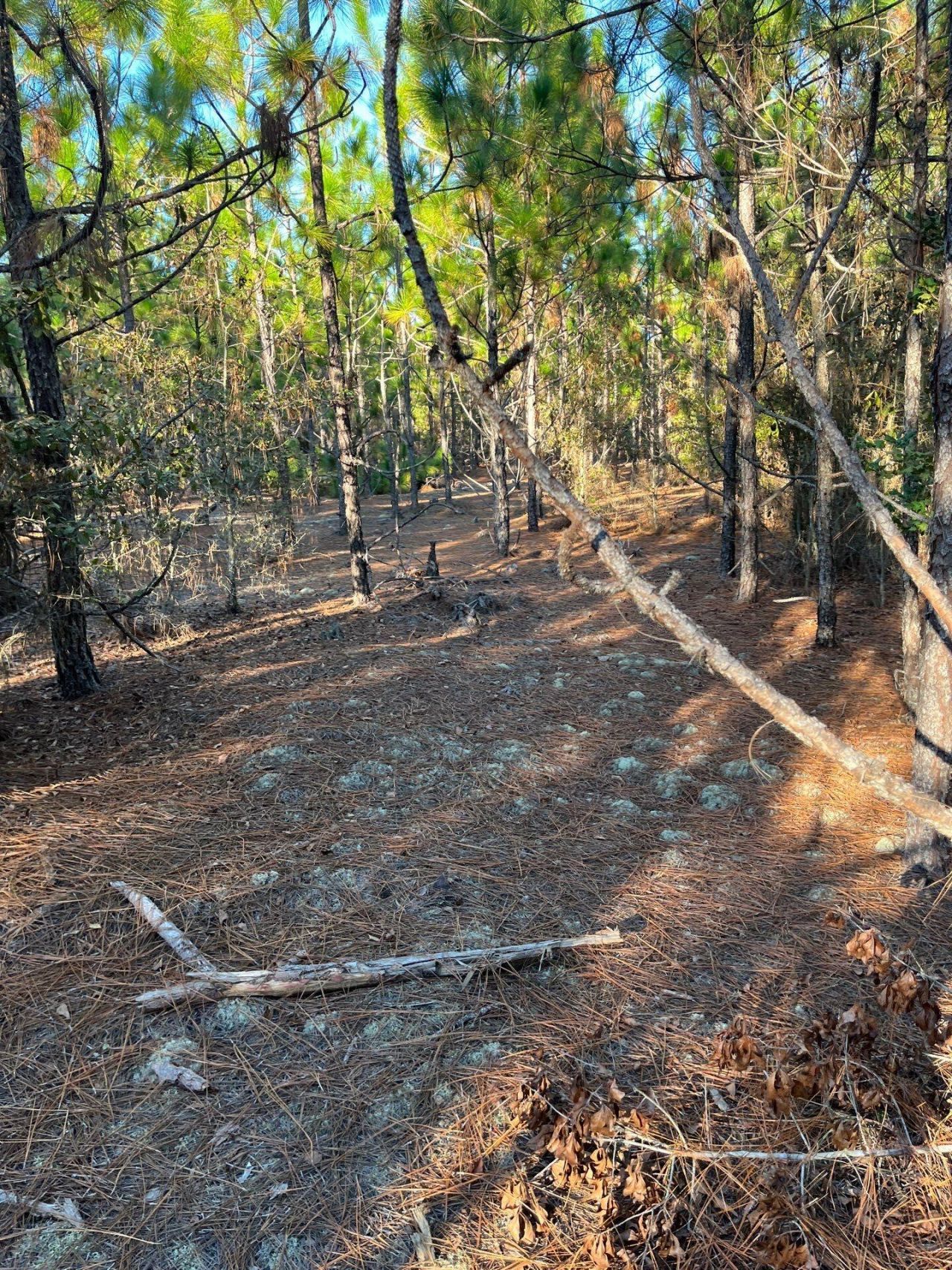 Ppf 14 Payne Pond Road Photo 11