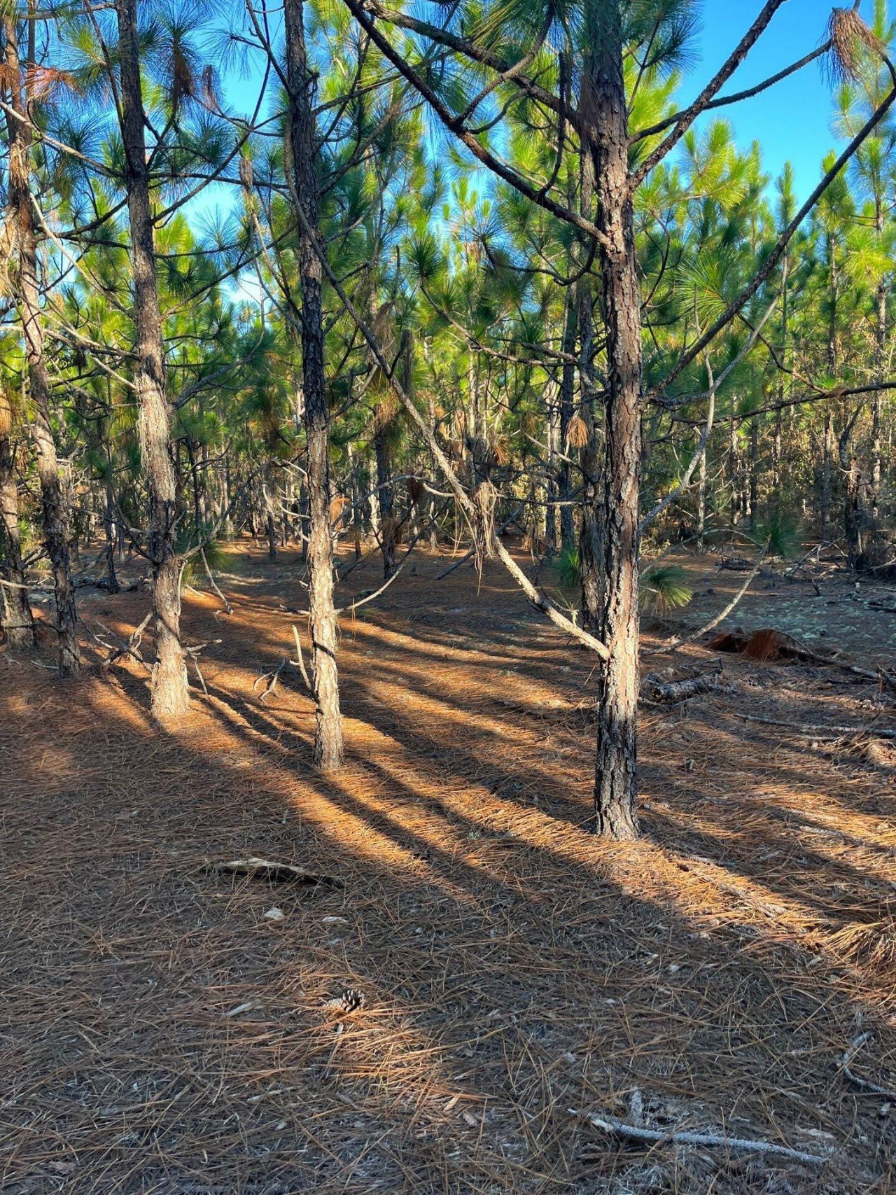 Ppf 14 Payne Pond Road Photo 12