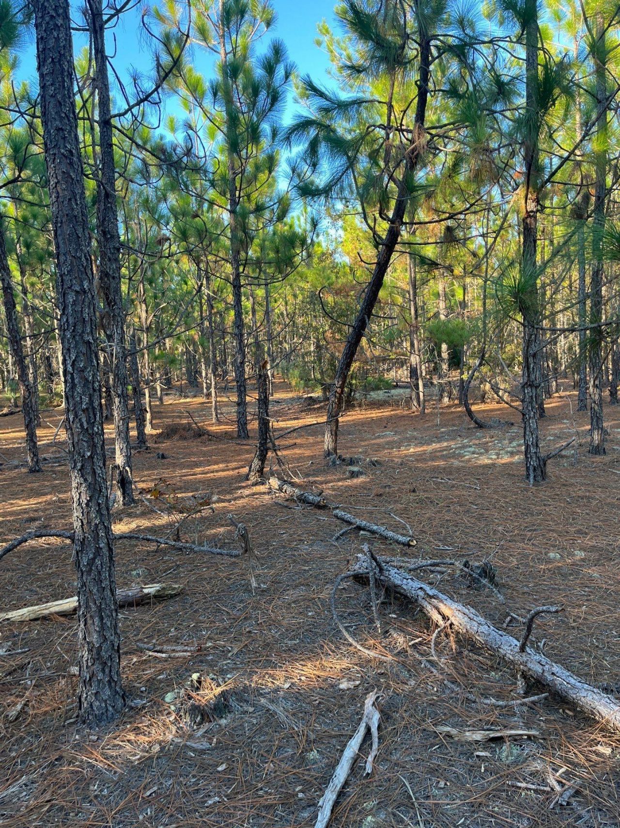 Ppf 14 Payne Pond Road Photo 13