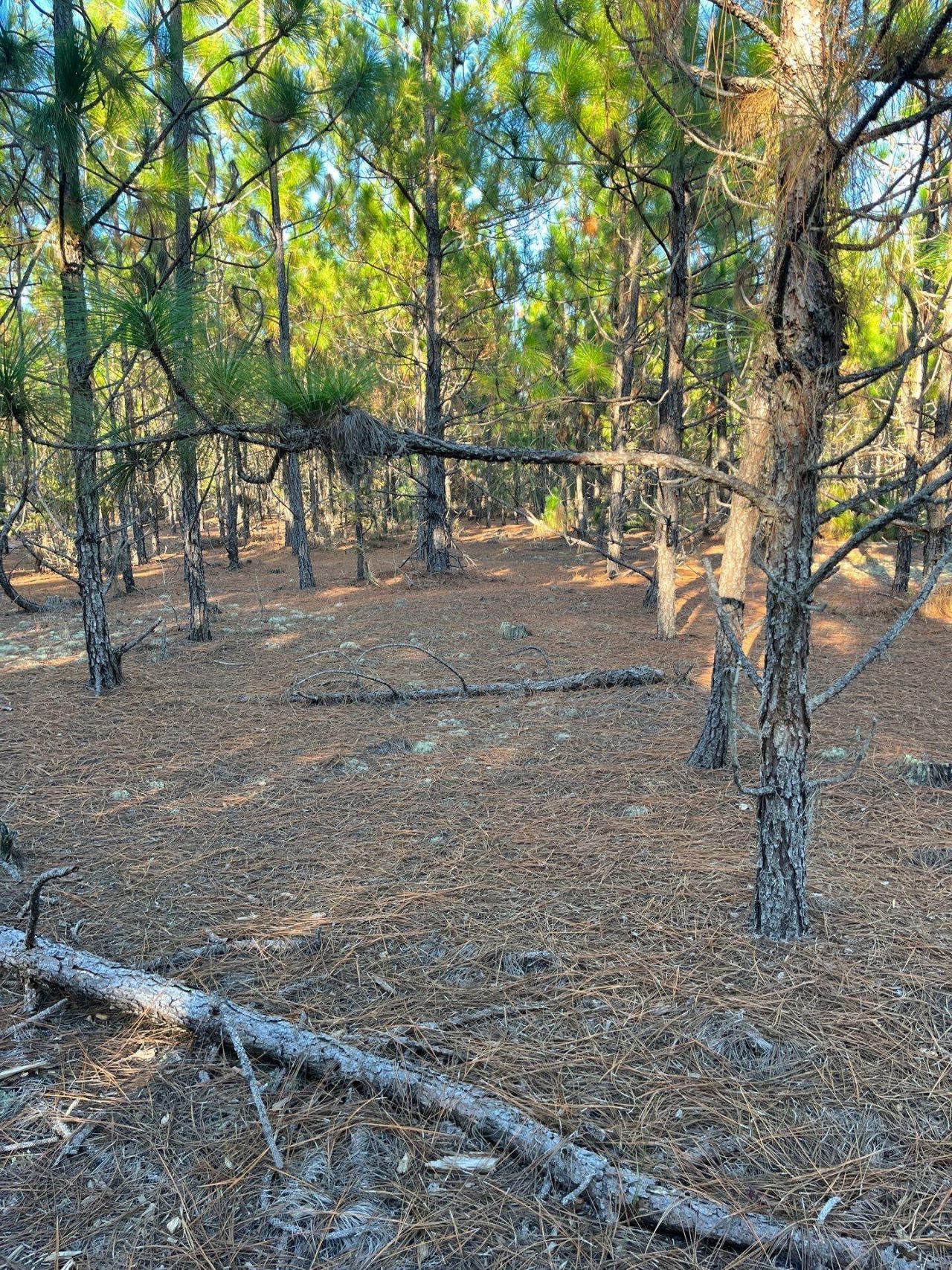 Ppf 14 Payne Pond Road Photo 14