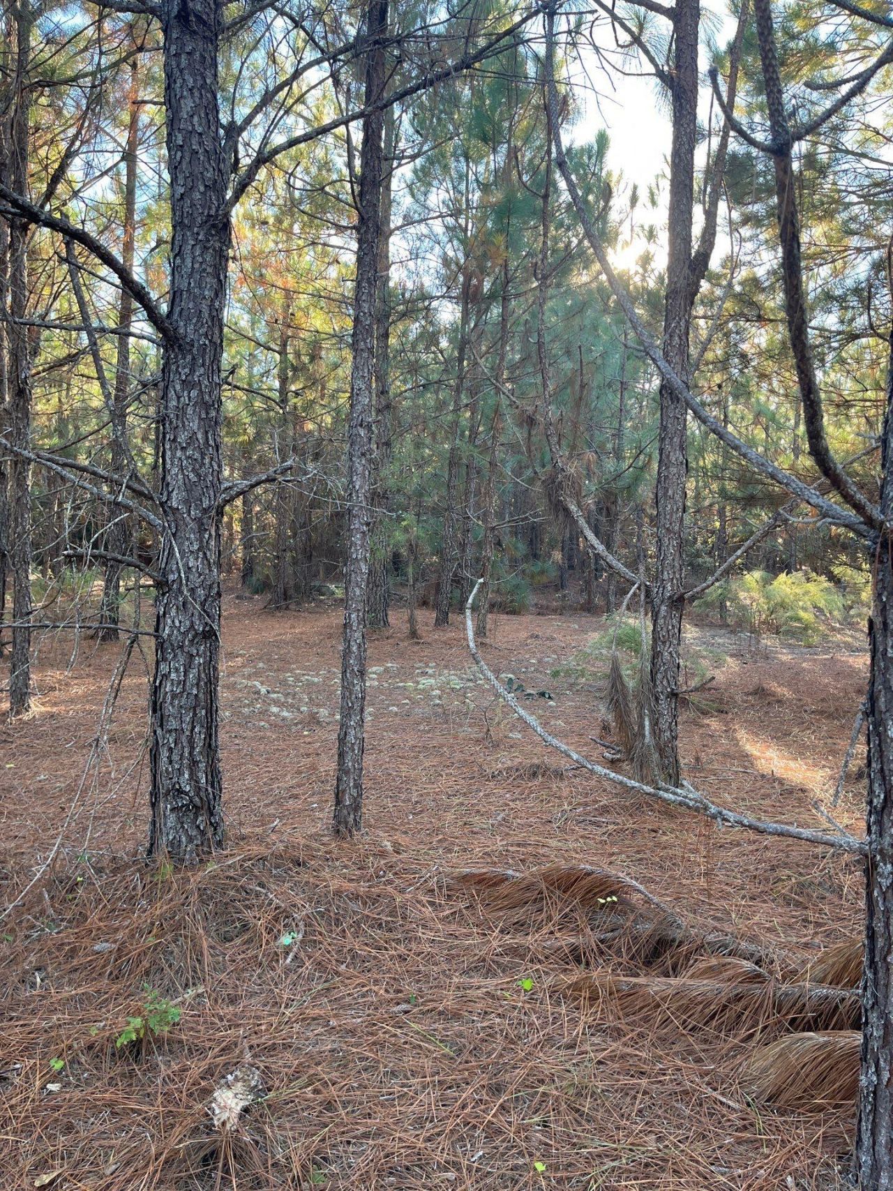 Ppf 14 Payne Pond Road Photo 15