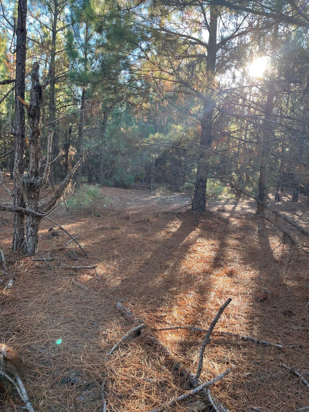 Ppf 14 Payne Pond Road Photo 16