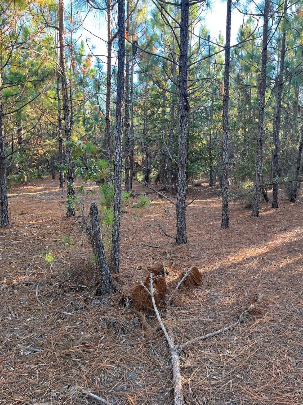 Ppf 14 Payne Pond Road Photo 17