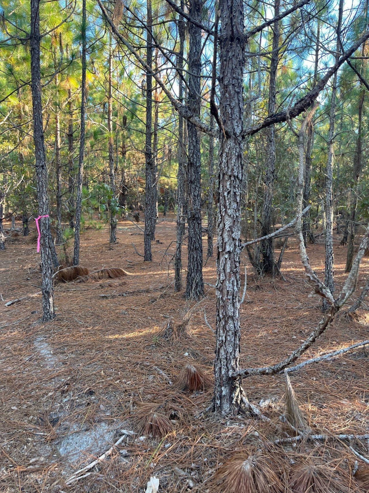 Ppf 14 Payne Pond Road Photo 18