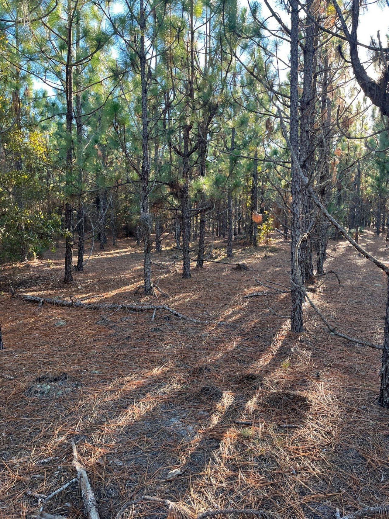 Ppf 14 Payne Pond Road Photo 19