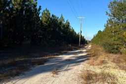 Ppf 14 Payne Pond Road photo 4