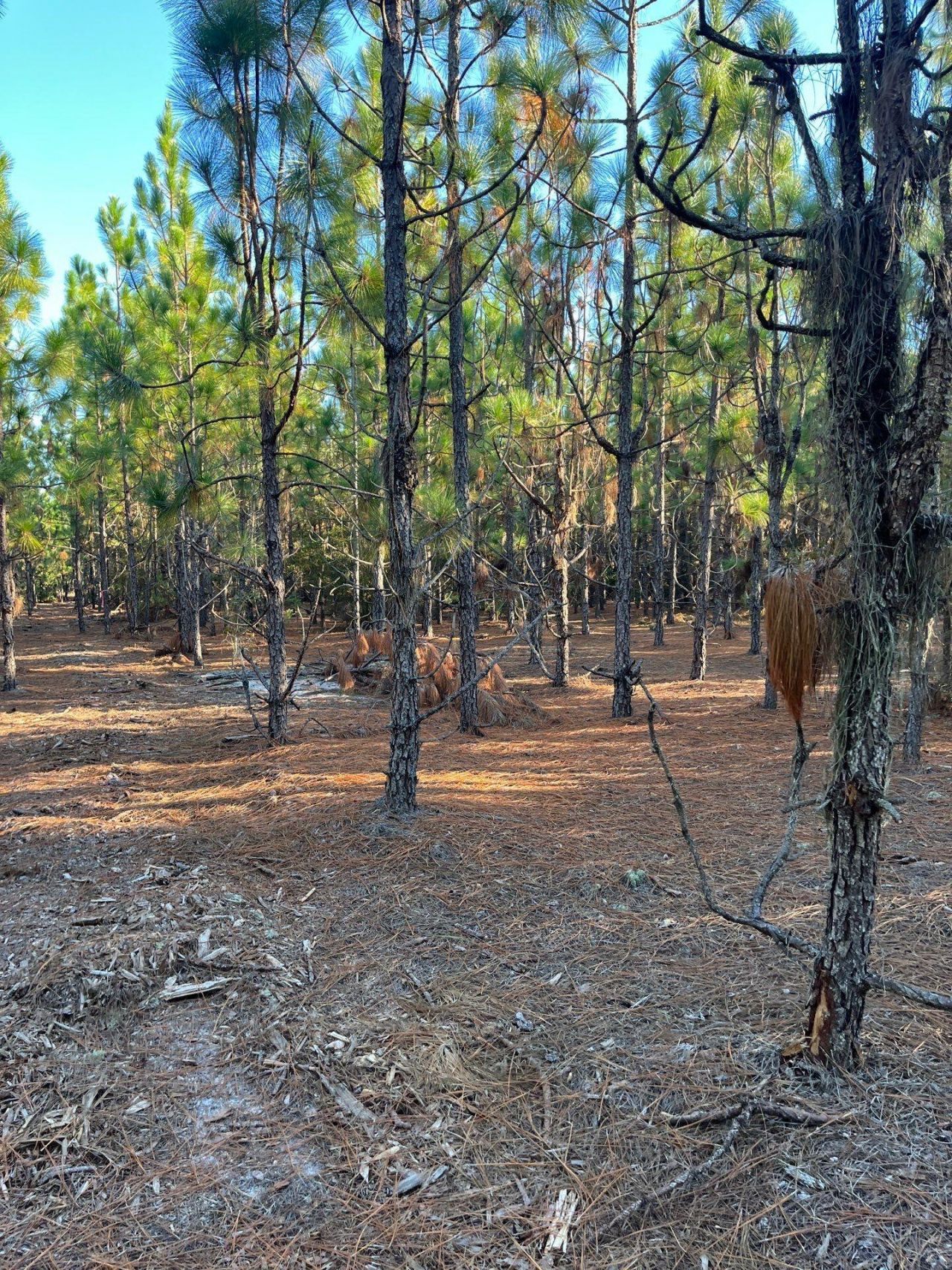 Ppf 14 Payne Pond Road Photo 20