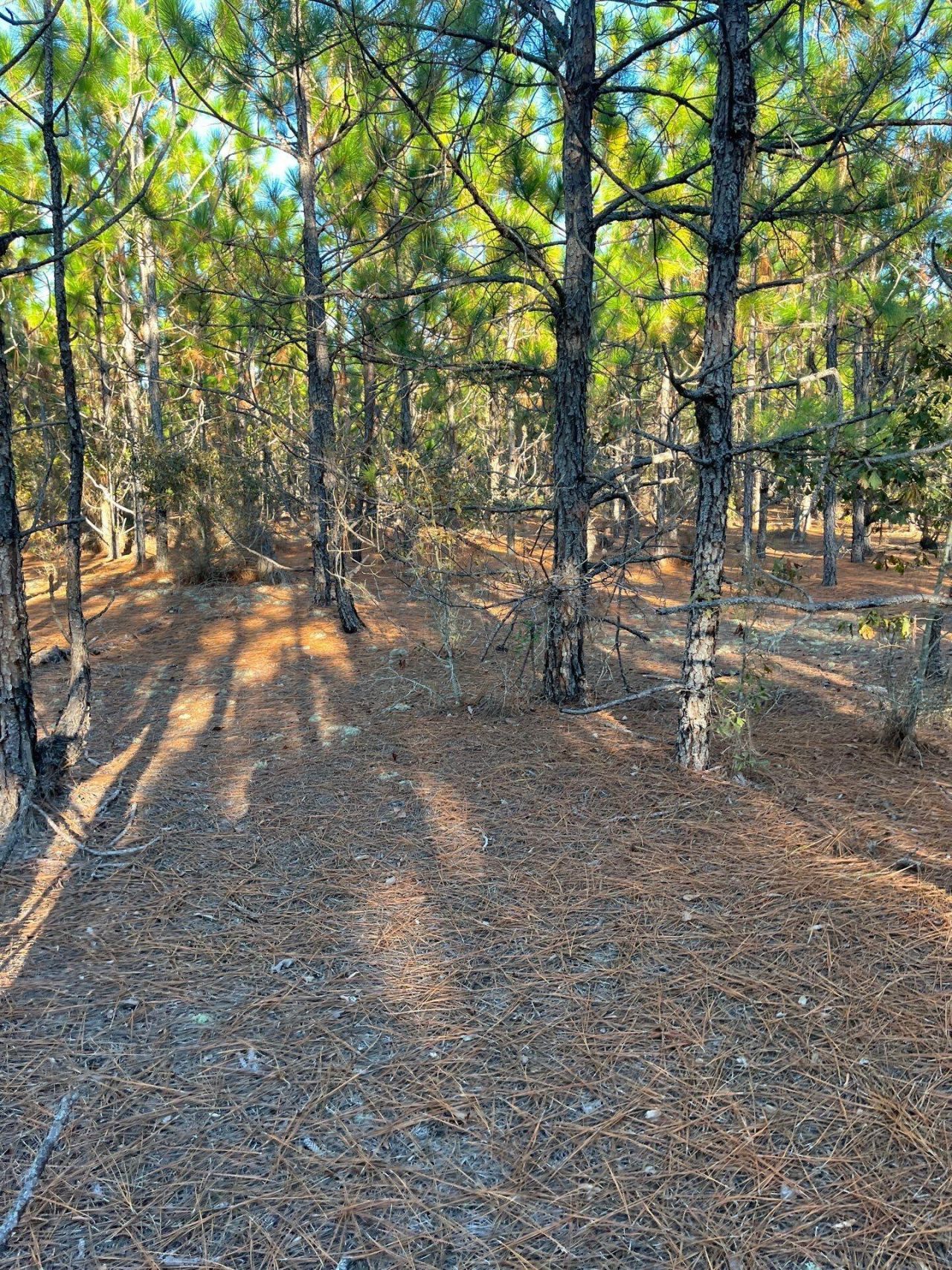 Ppf 14 Payne Pond Road Photo 24