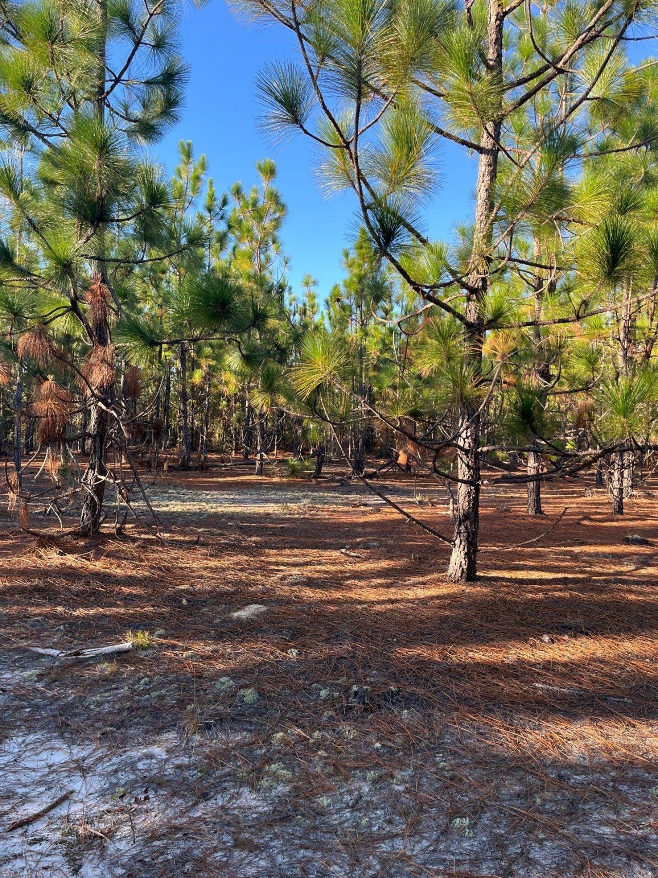 Ppf 14 Payne Pond Road Photo 26