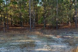 Ppf 14 Payne Pond Road photo 4