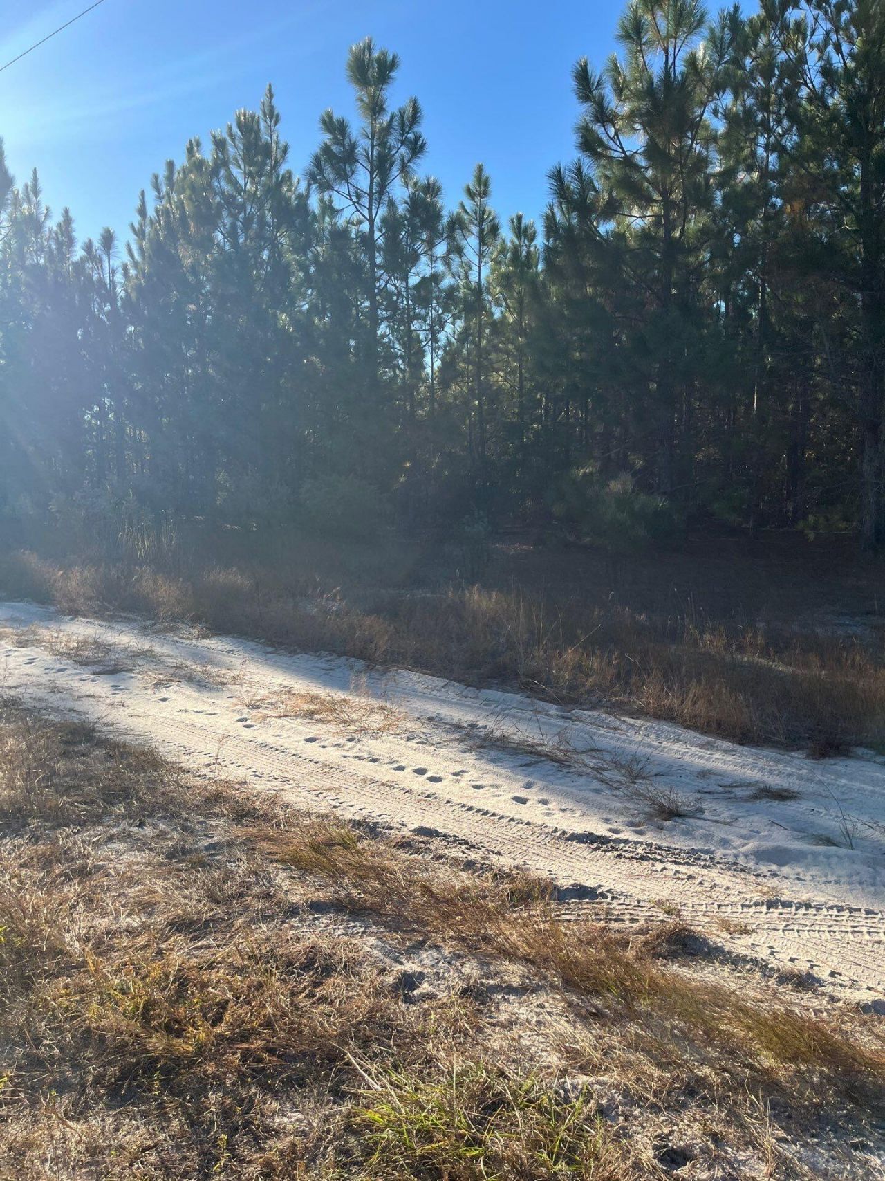 Ppf 14 Payne Pond Road Photo 4