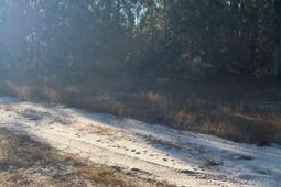 Ppf 14 Payne Pond Road photo 4