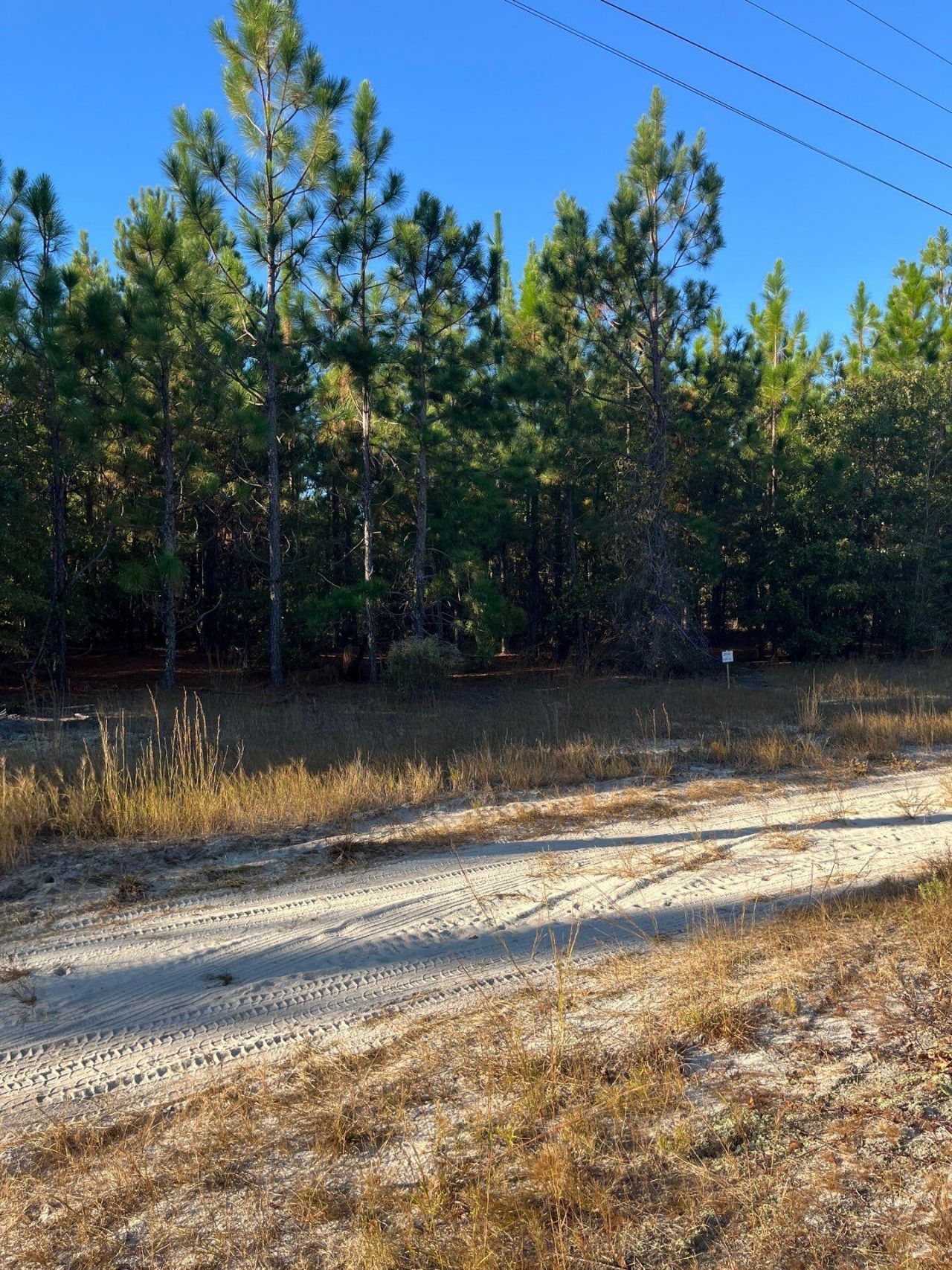 Ppf 14 Payne Pond Road Photo 5