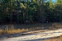 Ppf 14 Payne Pond Road photo 4