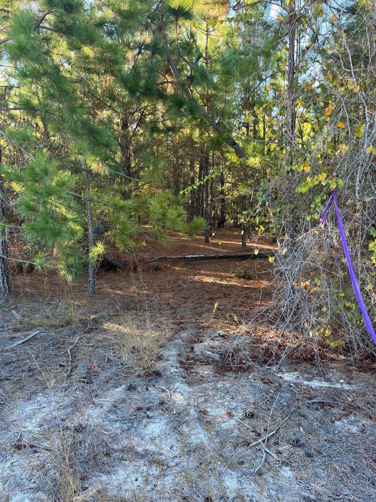 Ppf 14 Payne Pond Road Photo 6