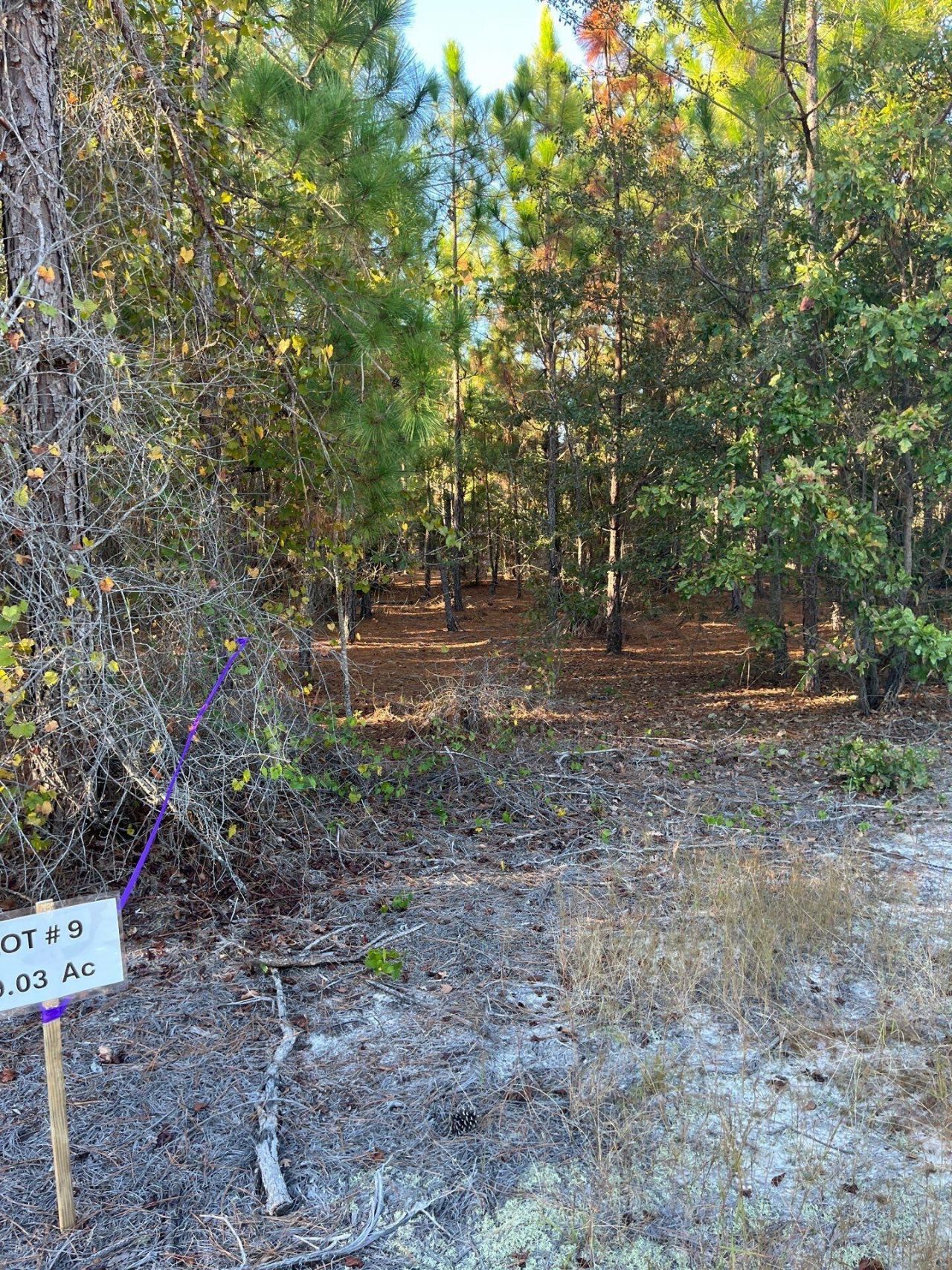 Ppf 14 Payne Pond Road Photo 7