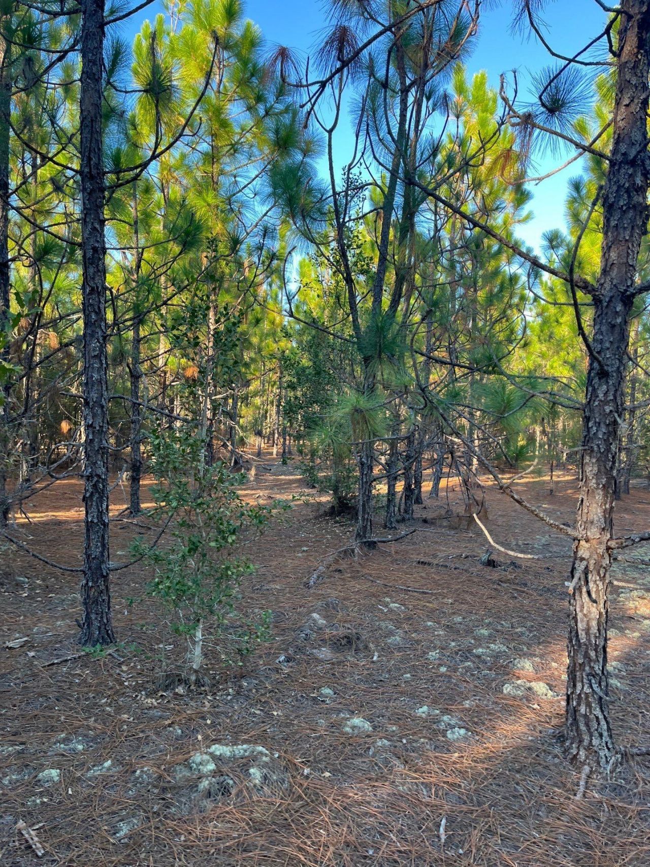 Ppf 14 Payne Pond Road Photo 9