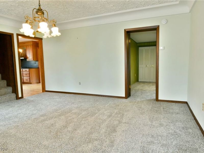 3572 Wilson Sharpsville Road, Cortland, OH 44410 Photo 20