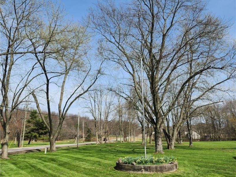 3572 Wilson Sharpsville Road, Cortland, OH 44410 Photo 40