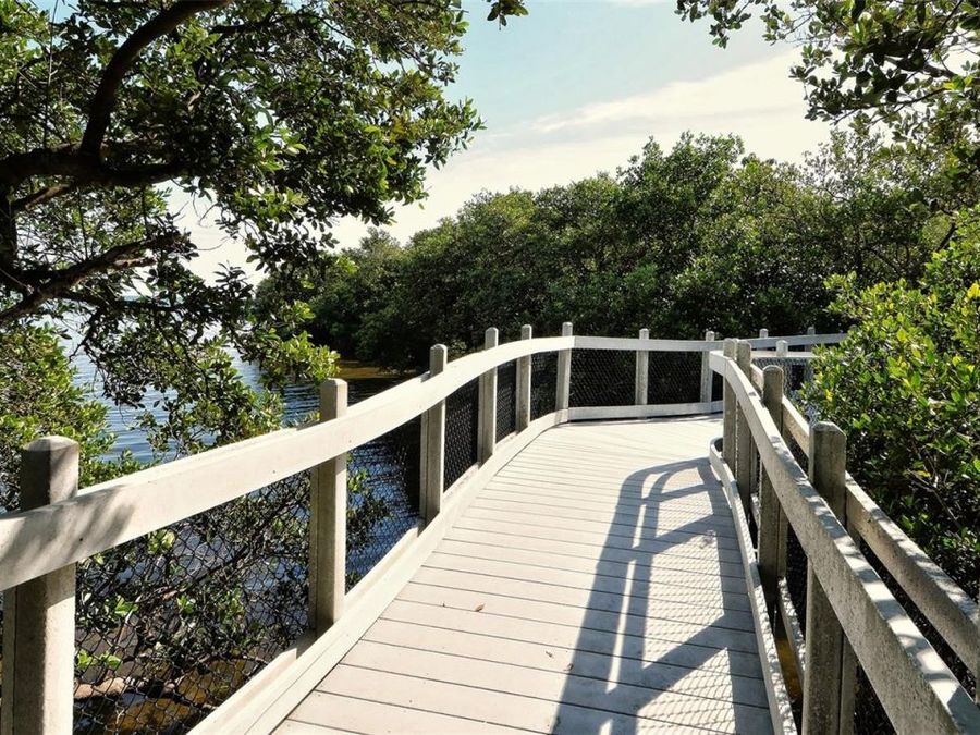 Property Image 64