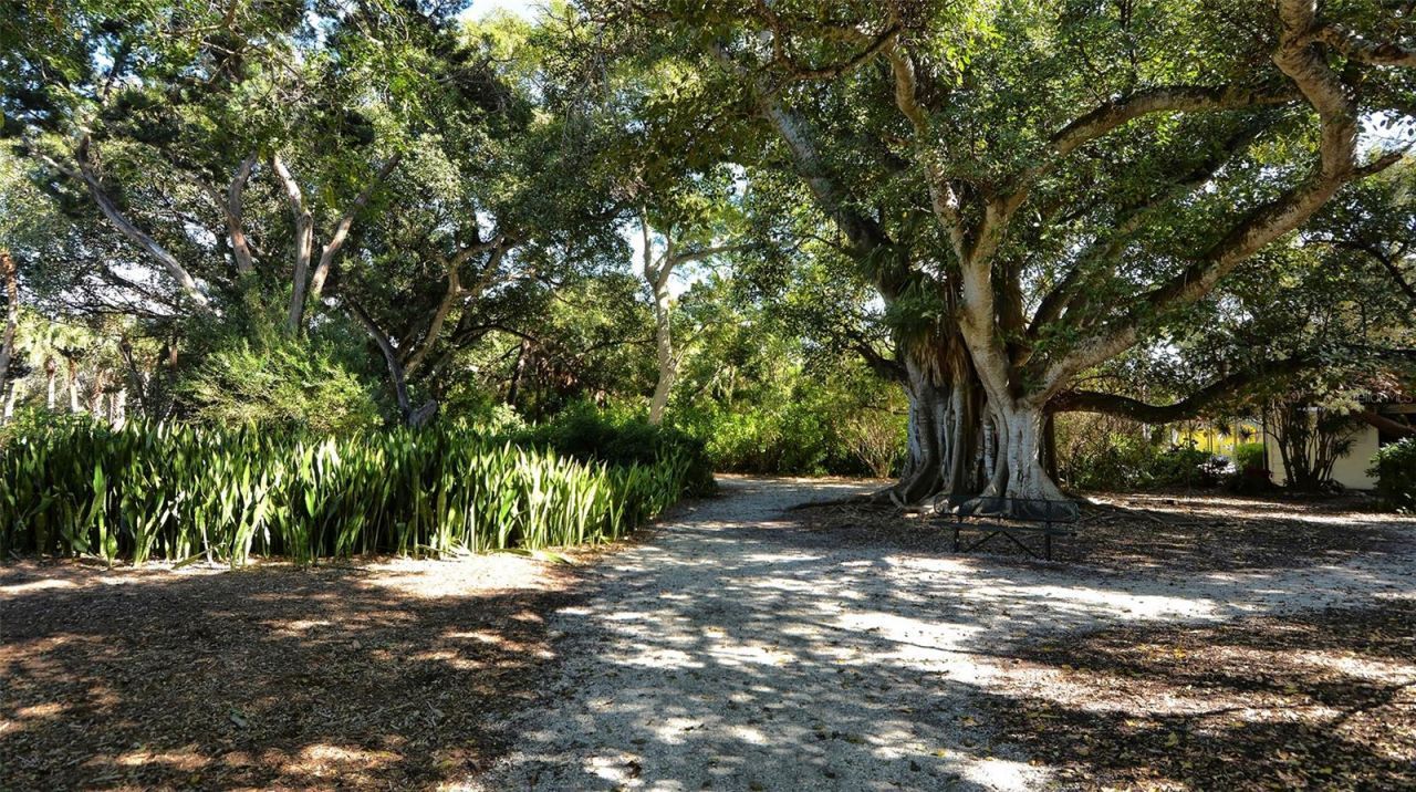 729 Saint Judes Drive S, Unit 3, Longboat Key, FL 34228 Photo