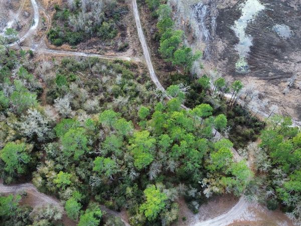 TBD NE 128TH LANE, Other, FL 32621