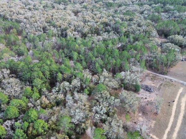 TBD NE 126TH STREET, Other, FL 32621