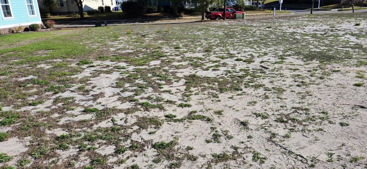 1312 James Island Ave. Photo 5