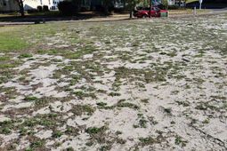 1312 James Island Ave. photo 4