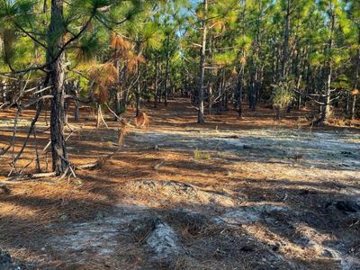 Ppf 17 Payne Pond Road, Unit Ppf 17, Westville, SC 29175