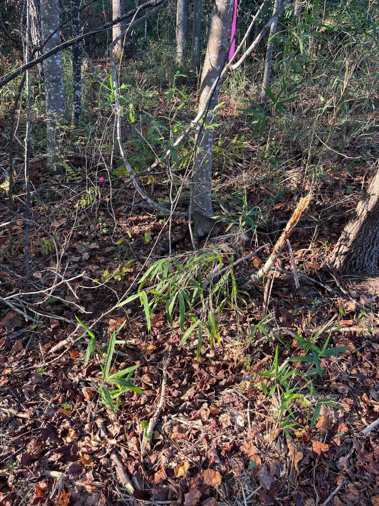 Ppf 17 Payne Pond Road Photo 10