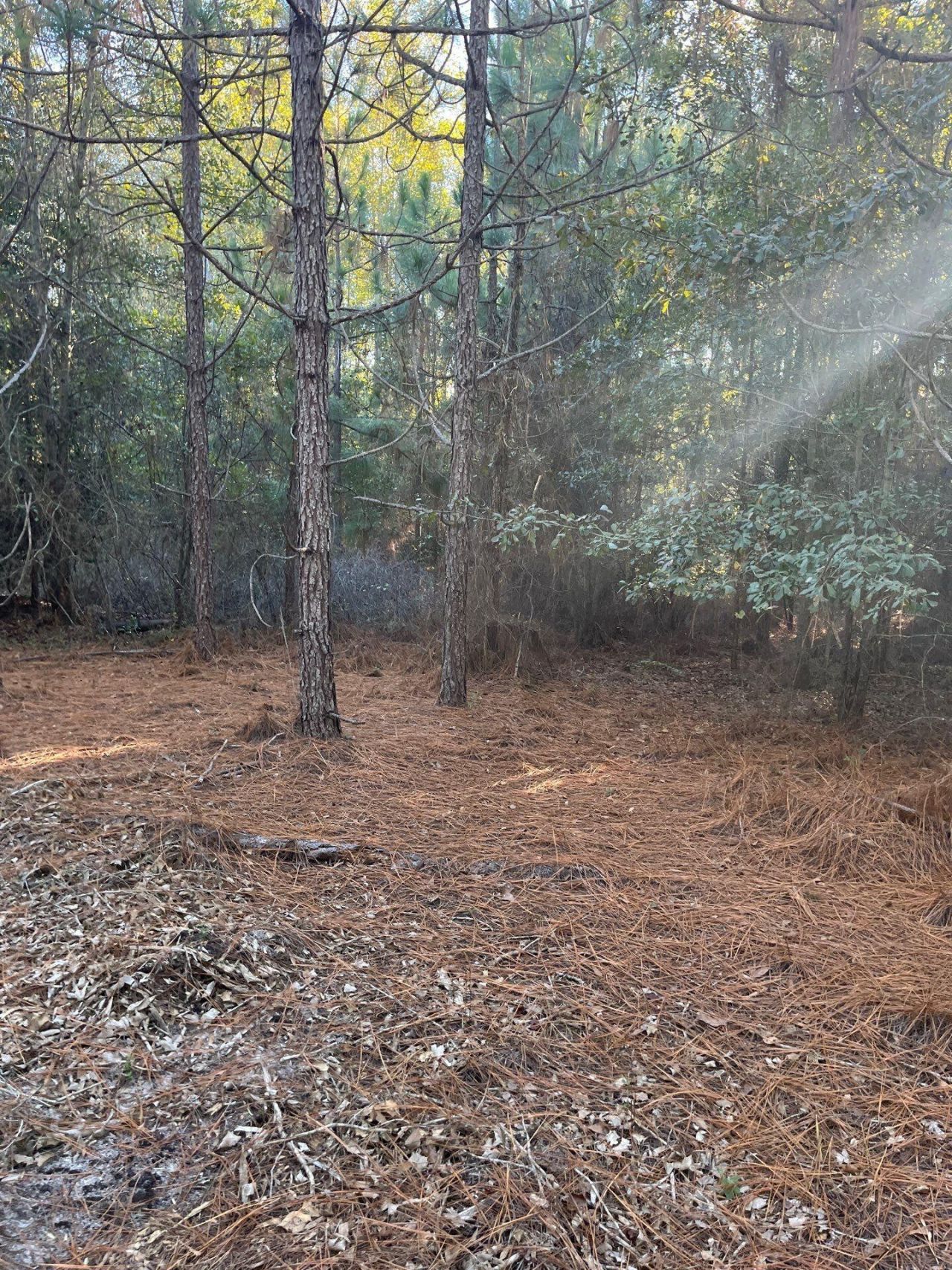 Ppf 17 Payne Pond Road Photo 11