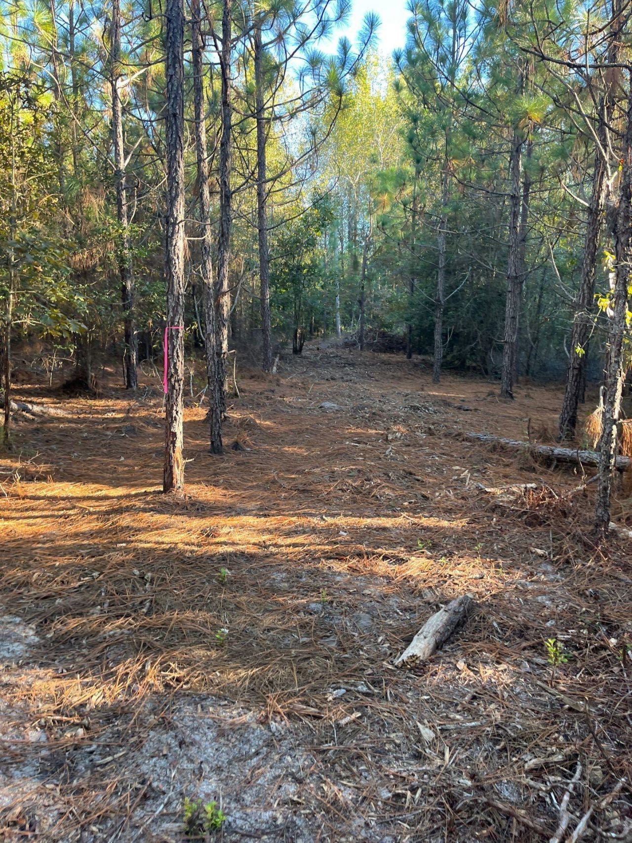 Ppf 17 Payne Pond Road Photo 12