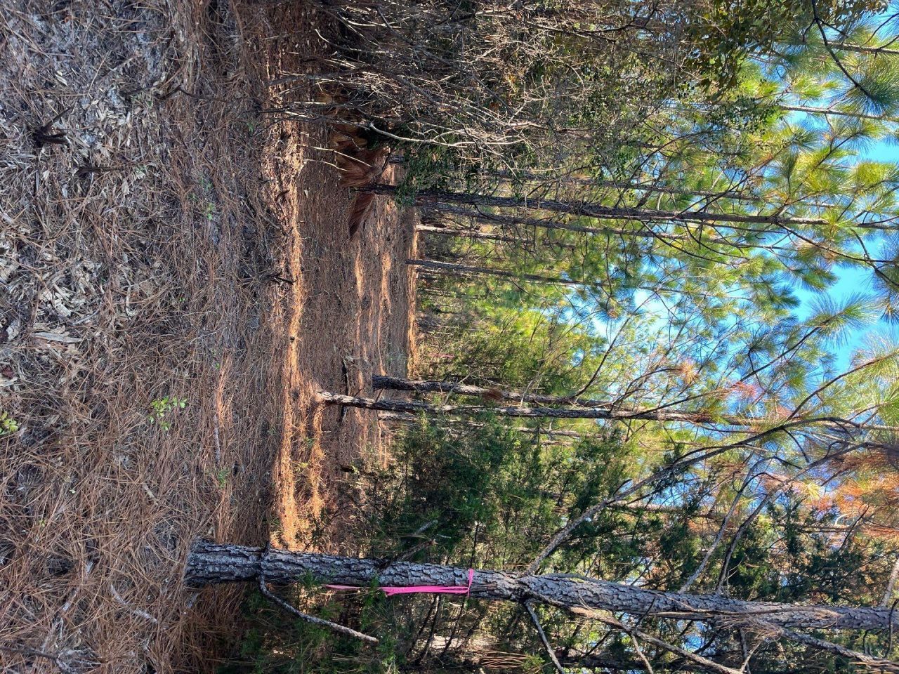 Ppf 17 Payne Pond Road Photo 13