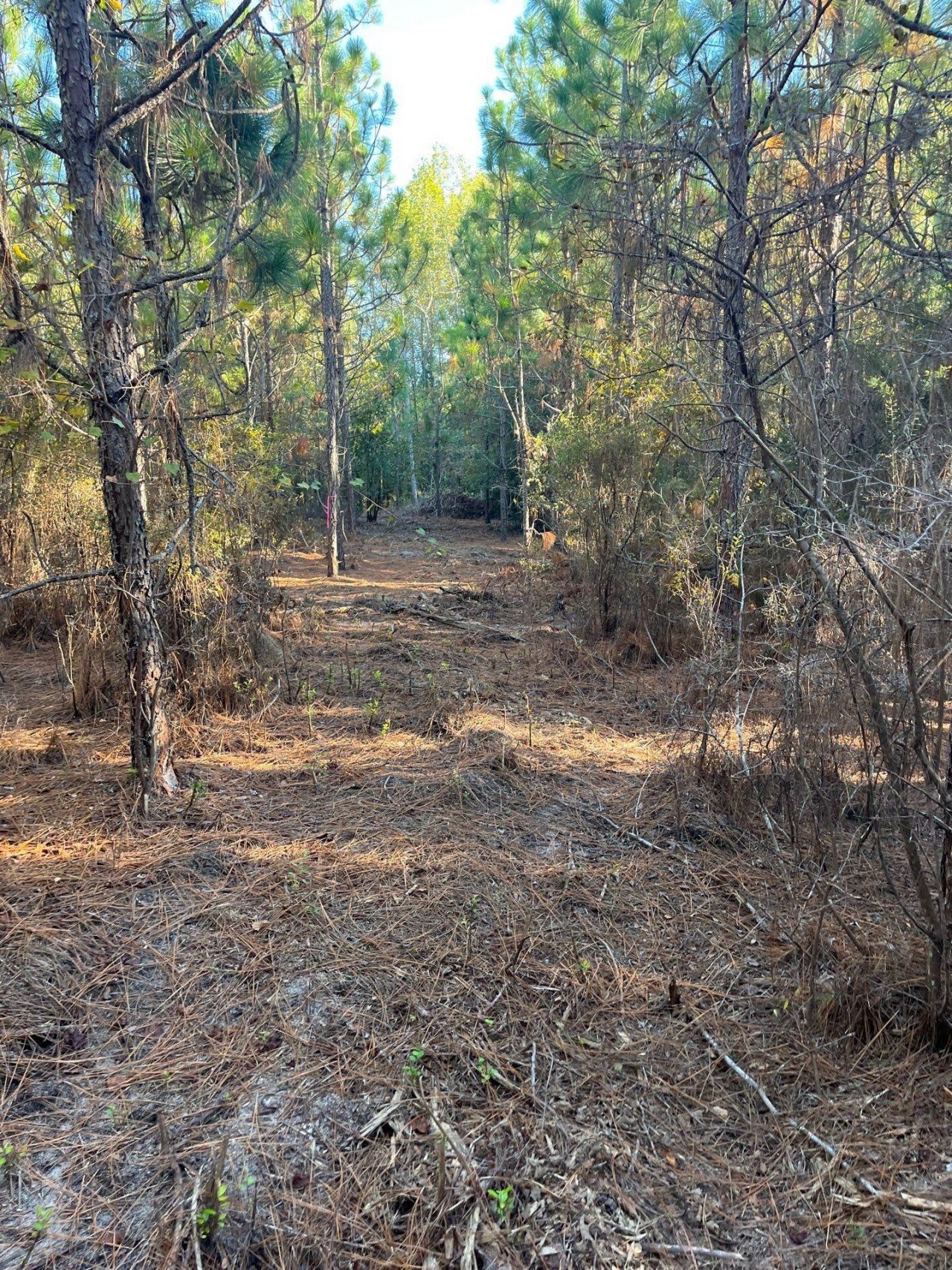 Ppf 17 Payne Pond Road Photo 14