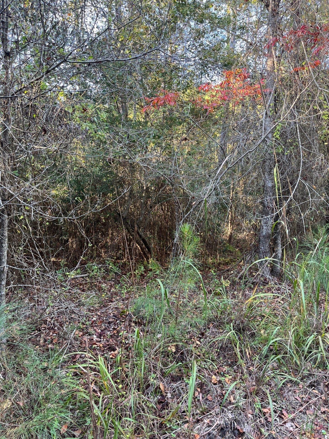 Ppf 17 Payne Pond Road Photo 15