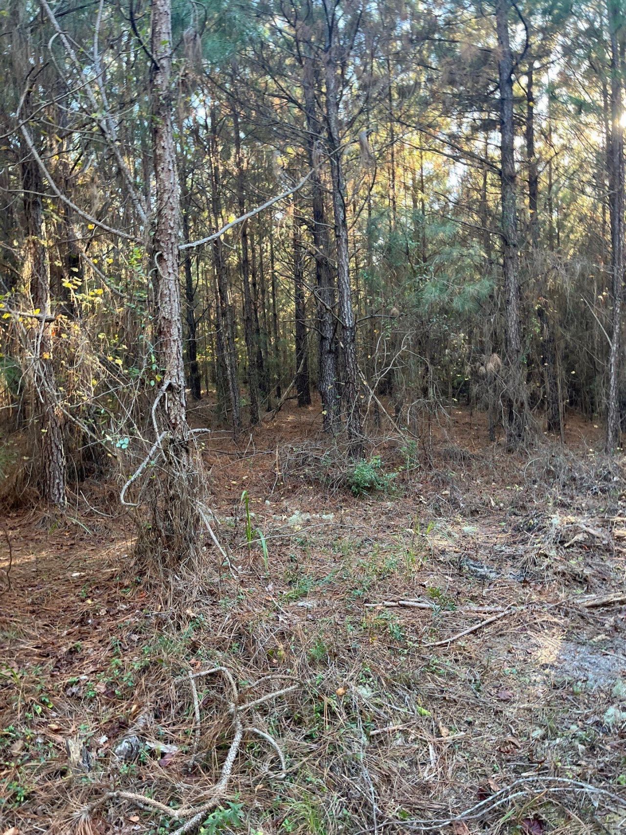 Ppf 17 Payne Pond Road Photo 16