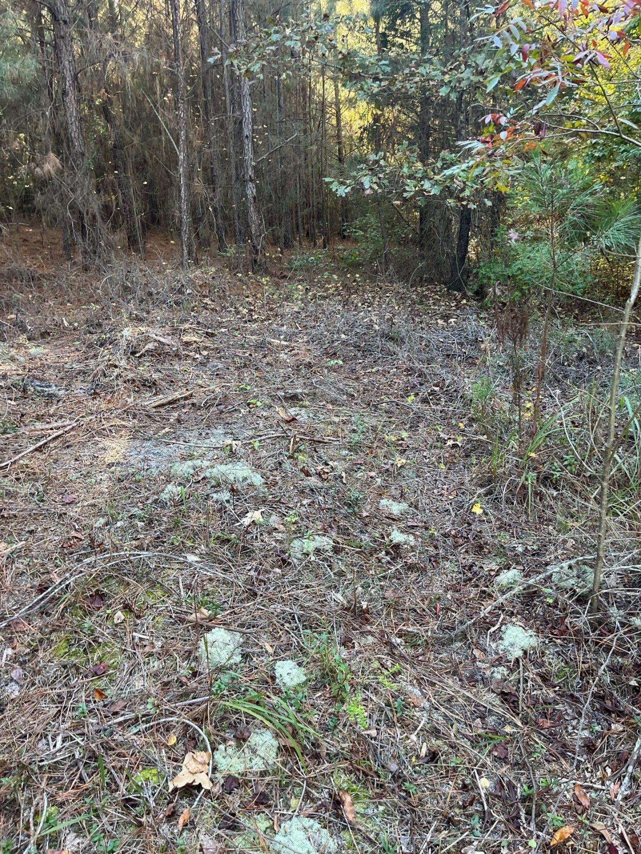 Ppf 17 Payne Pond Road Photo 17