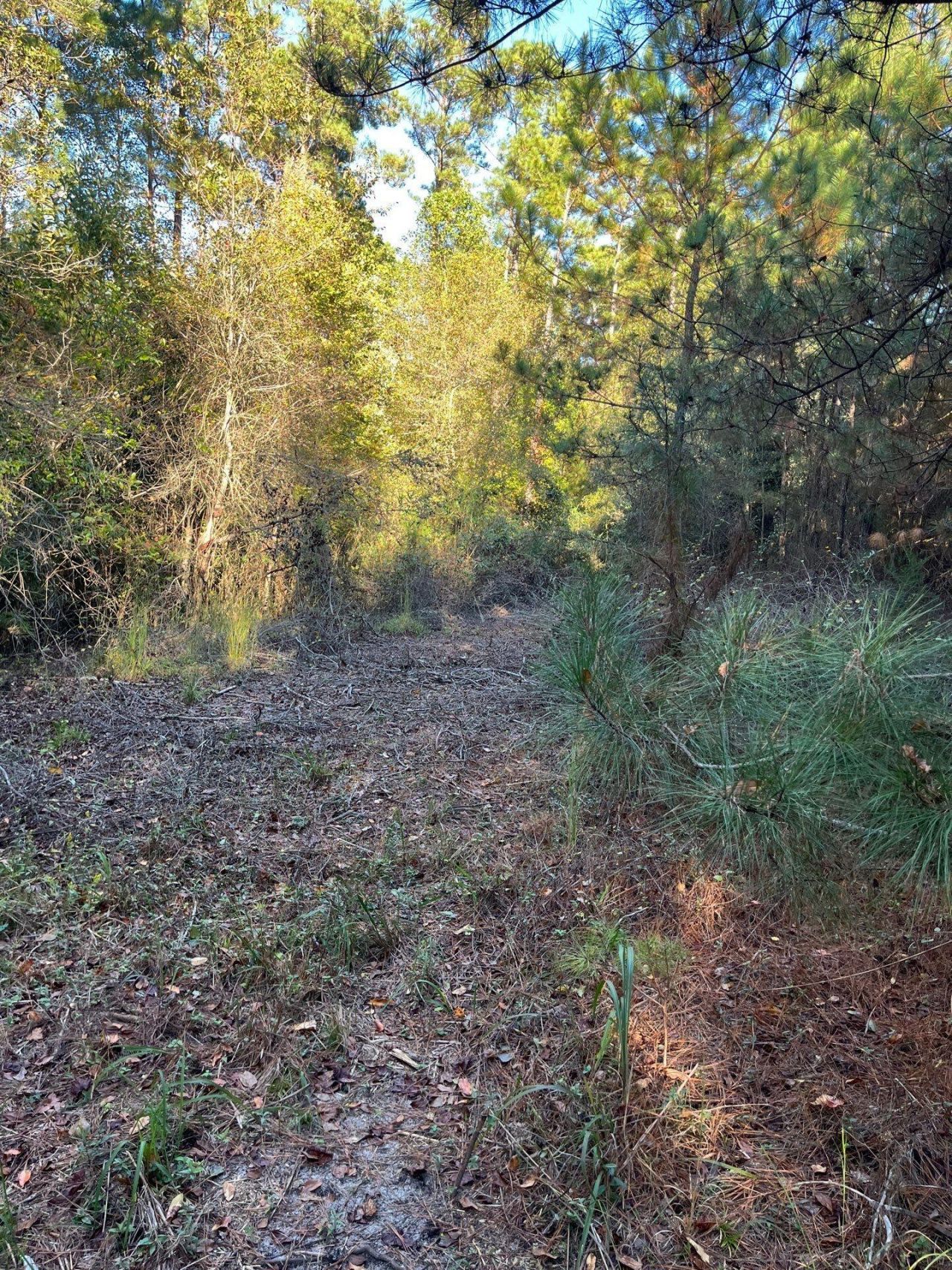 Ppf 17 Payne Pond Road Photo 18